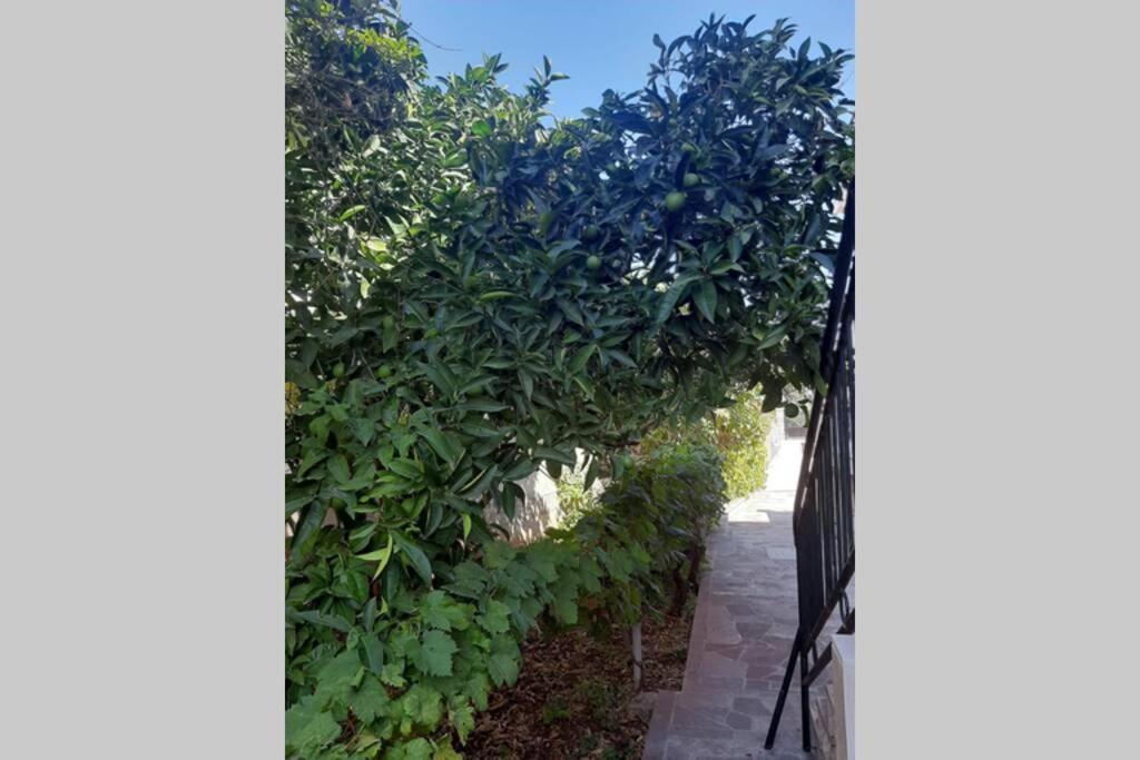 Giovanna - Spacious Lovely Apartment Supetar Ngoại thất bức ảnh